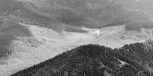 By 1933, railroad logging had nearly cleared the West Fork valley