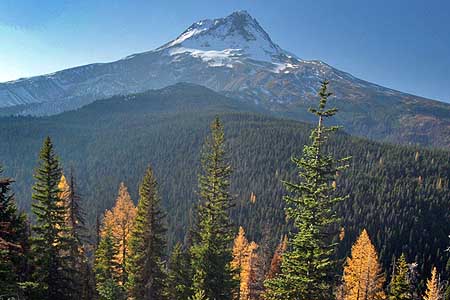 These mature, healthy forests of western larch, ponderosa pine and Douglas fir along Bluegrass Ridge survived the fire