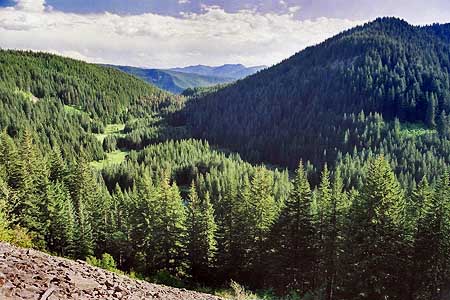 Beautiful Tumala Lakes and Meadows in the Roaring River backcountry