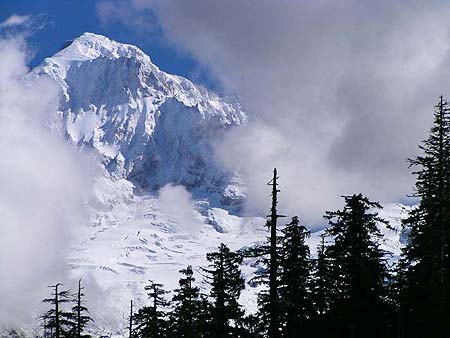 Mount Hood towering above Lolo Pass