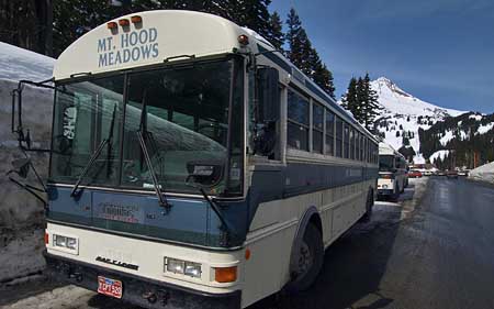 Ski buses at Meadows are lost in the sea of automobiles - a fact that must change in order to reclaim some of the paved areas, and restore sustainability to the resort.