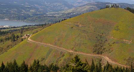 These fragile slopes on Hood River Mountain -- covered in their spring blanket of yellow balsamroot -- were recently scarred with a driveway to yet another ill-conceived trophy home.