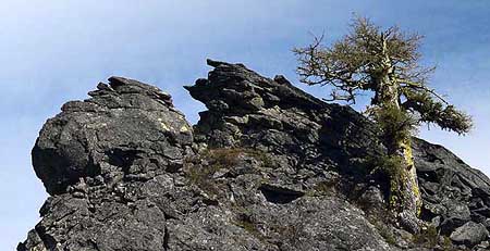 The "face" of Tamarack Rock from the Surveyors Ridge Trail.