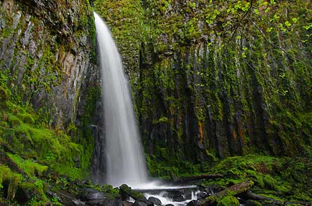 Dry Creek is better known for its waterfall, about a mile upstream from the ponds.