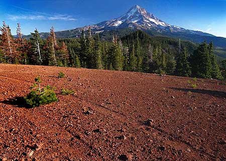 Fresh jeep tracks carve into the soft cinder summit of Red Hill, one of the areas the Forest Service would like to turn into a dirt bike playground.