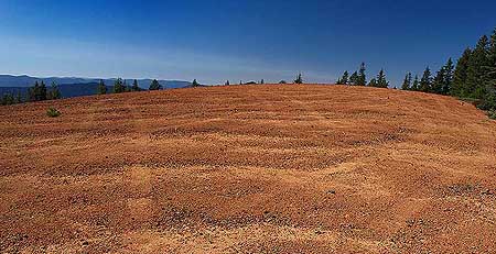 Another view of Red Hill's summit showing the criss-crossing ruts left by thoughtless OHVers.