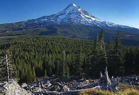 The view from Owl Point, along the Old Vista Ridge Trail -- proposed as a motorcycle track in the OHV plan.