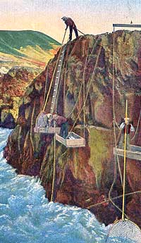 1930s rendering of Indian fisherman working the narrows below Celilo Falls