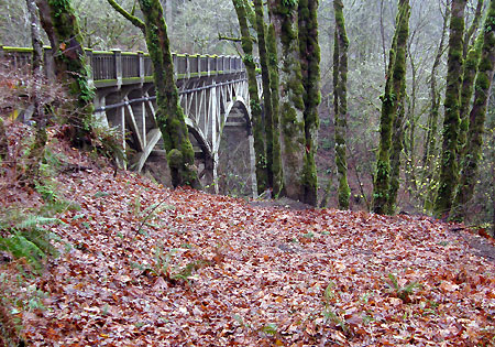 The view that used to be behind the restroom..!