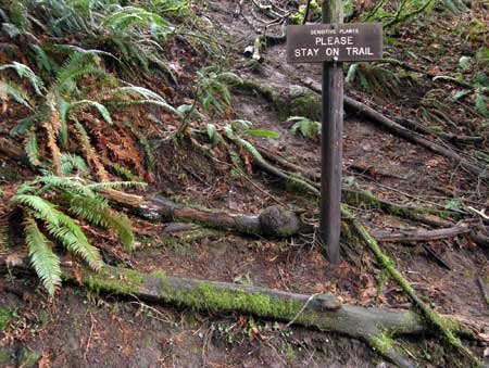 A forlorn sign attempts to reason with trail-cutters
