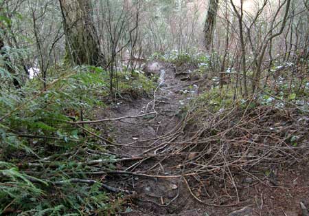 The boot path to the brink of the falls has become a heavily used liability in recent years