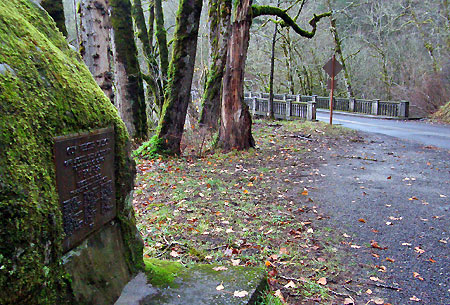 The wide pullout at the west end of the Latourell Bridge