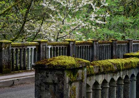 The venerable Latourell Creek Bridge is among the most impressive on the old highway