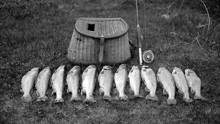 Alva’s Lost Lake bounty (Source: Hood River History)