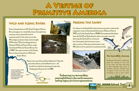 This sign will appear near the Salmon River (USFS)
