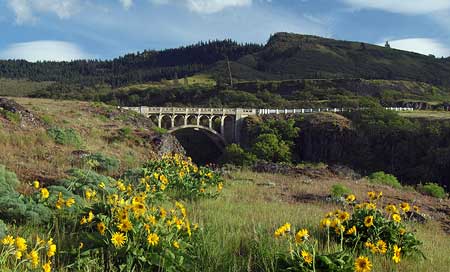 Dry Canyon Bridge and McCall Point from Rowena Plateau