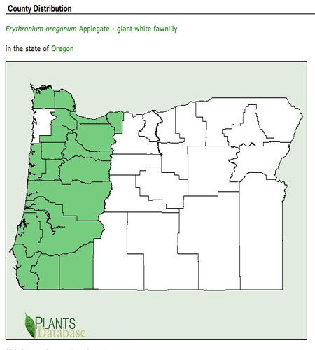 Oregon Fawn Lily is found in most of Oregon's wet, western counties (USDA)