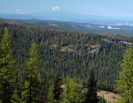Views from the open ridgetops in Fifteenmile Backcountry extend north to Mount Adams and Mount Rainer in Washington