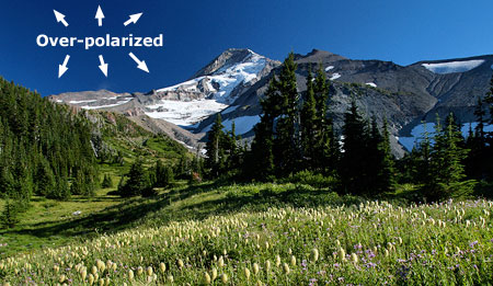 This image of Mount Hood from Elk Cove is a typical example of over-polarizing an early evening image