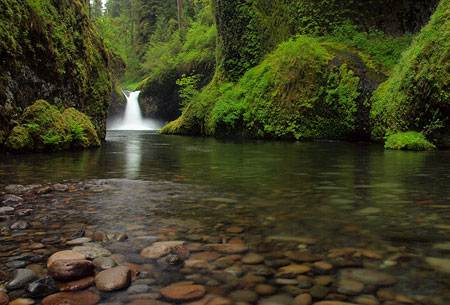 This 1/2 second exposure of Punch Bowl Falls on Eagle Creek was captured with only a polarizer