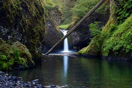 "The Log" still blocked the view in this scene from 2008