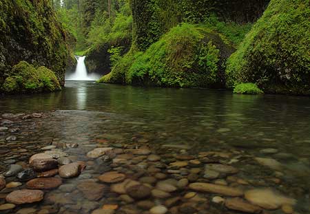 A less traditional, super-wide view of Punch Bowl Falls captures some stream details
