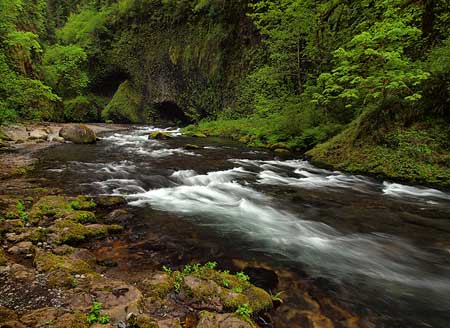 The beautiful grotto below Punch Bowl Falls is well worth photographing, too!