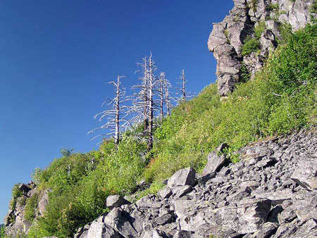 The proposed loop trail would traverse below these cliffs on the north side of Angels Rest