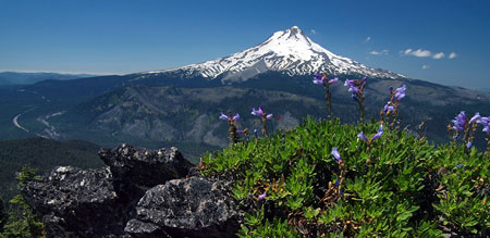 Mount Hood from the west summit of Lookout Mountain