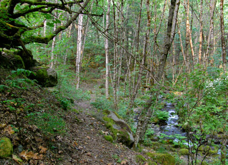 Historic CCC path along Viento Creek