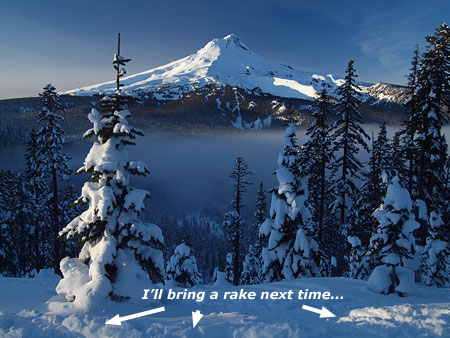 Heavy ski and snowshoe traffic on New Years Day!