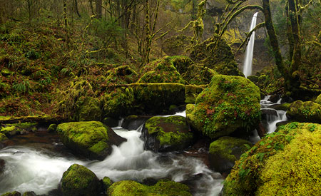 March: Elowah Falls in late winter hues