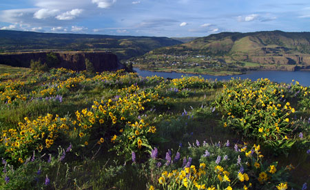 April: blustery winds at Rowena Crest..? Naturally!