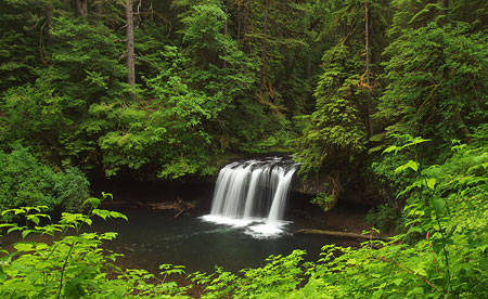 May: pretty Upper Butte Creek Falls is tucked away in serious logging country
