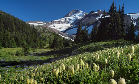 August: my annual pilgrimage to "the view" from Elk Cove
