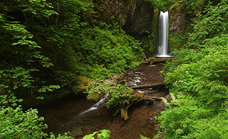 September: Albert Wiesendanger earned a place name with his falls on Multnomah Creek