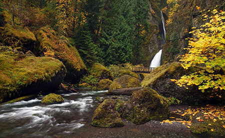 November: Tanner Creek as it would normally appear in early November