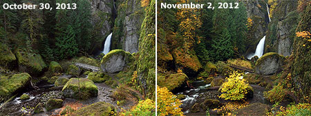 Our rough September weather in 2013 was devastating to autumn foliage