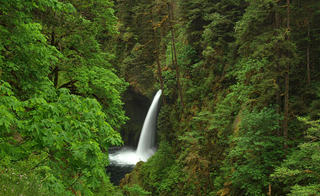 Metlako Falls (from the wrong side of the fence)
