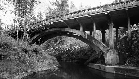 H.R. Angwin's Salmon River Bridge in Lincoln County