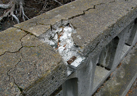 Frost damage to the railings on the Sahalie Falls Bridge in 2009