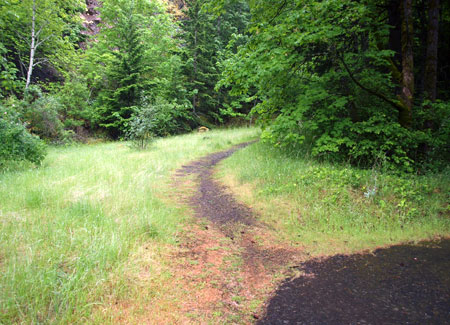 The formal Mitchell Point Trail is even more obscure, but this is an easily corrected oversight in the OPRD restoration project