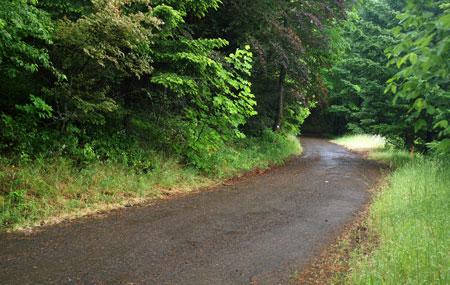 A surviving segment of the old highway serves as the start of the Wygant Trail, though existing signage is obscure