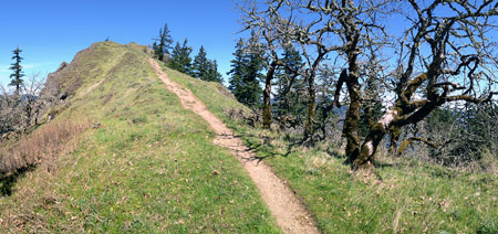 The east loop would join the Mitchell Point trail at this point along the summit ridge