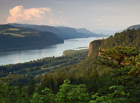 Columbia River Gorge from Chanticleer Point