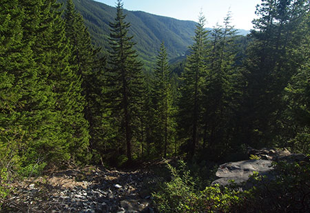 The "improved" highway will allow fewer visitors to take in this mind-boggling view of the "chute" used by Oregon Trail pioneers to descend Laurel Hill 