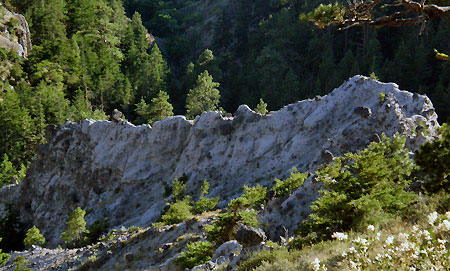 Badlands Basin: “The Iguana”
