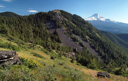 Shellrock Mountain and Mt. Hood from the Surveyors Ridge Trail