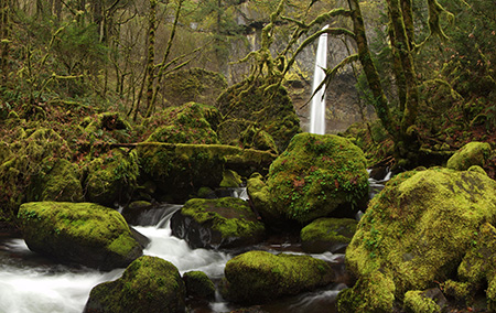 McCord Creek takes on more subtle hues in winter