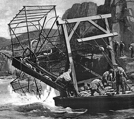 1890s Harpers Weekly illustration of a Columbia River fish wheel